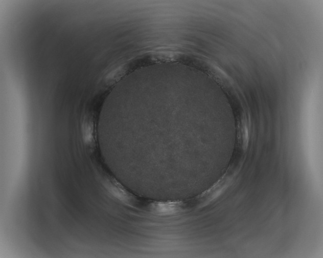 X0000113260134200909101506