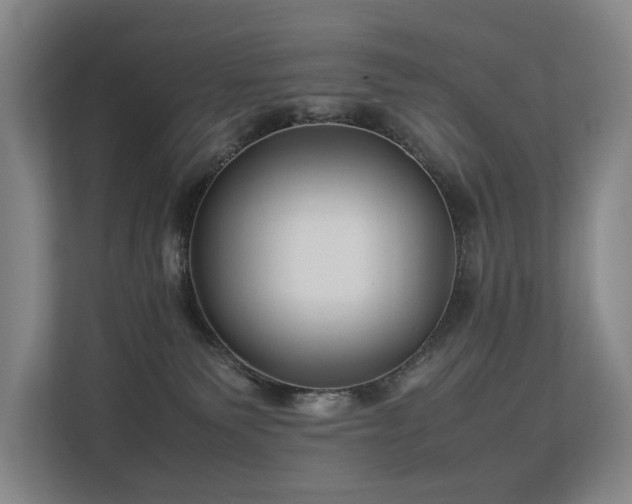 X0000113260135200909101506