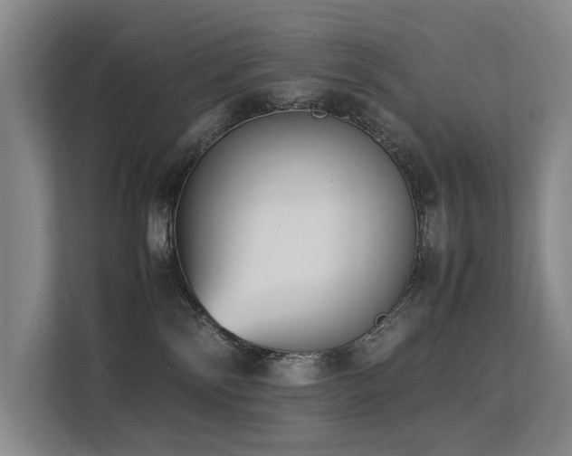 X0000113260138200909101506