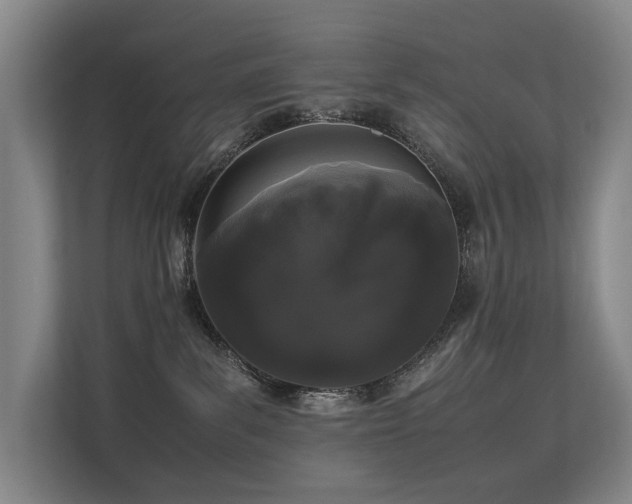 X0000113260139200909101506