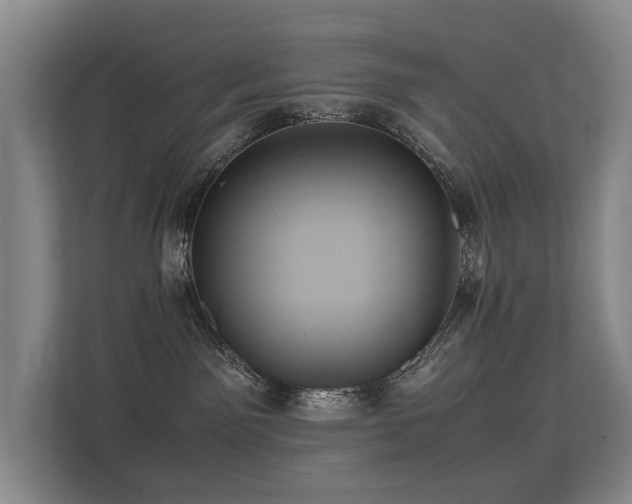 X0000113260141200909101506