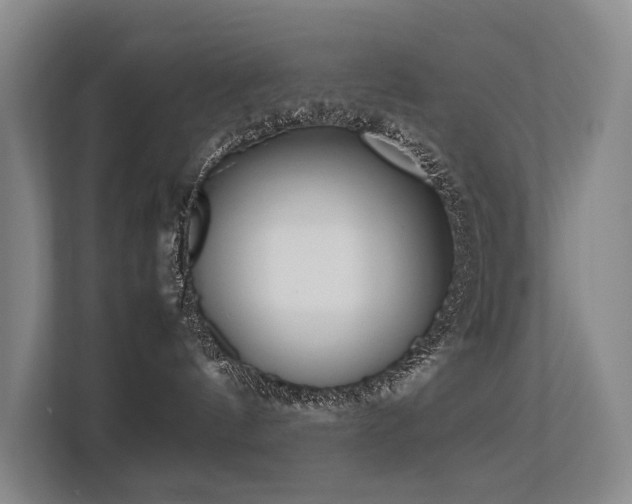 X0000113260144200909101506