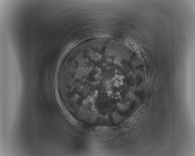 X0000113260145200909101506