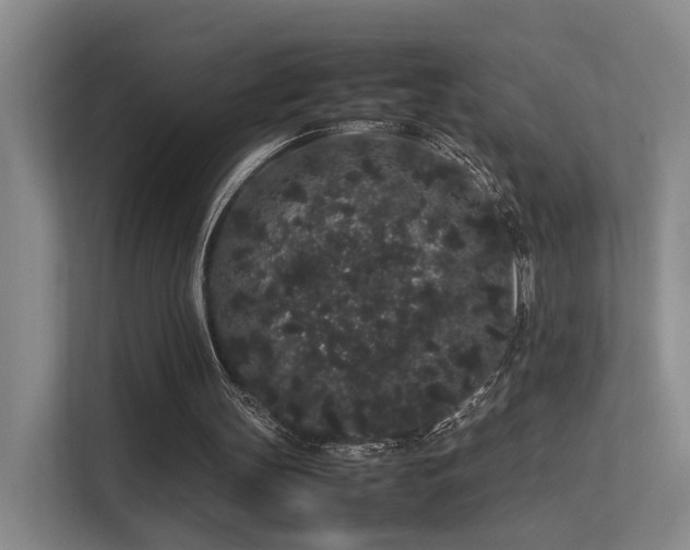 X0000113260147200909101506