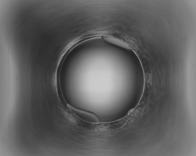 X0000113260148200909101506