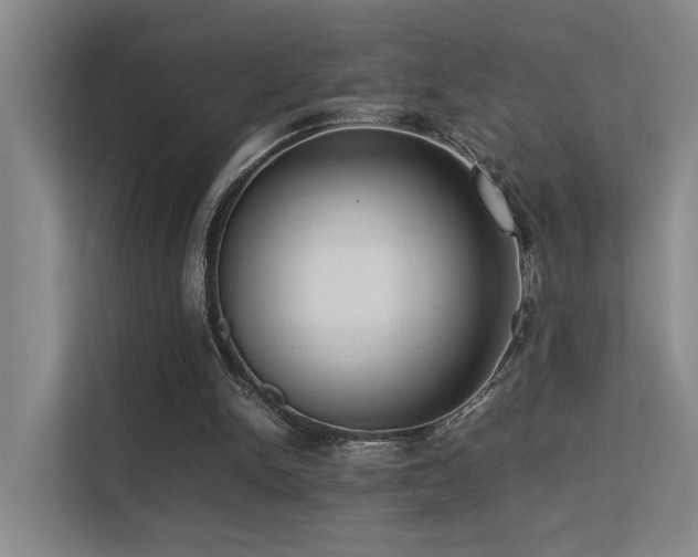 X0000113260150200909101506