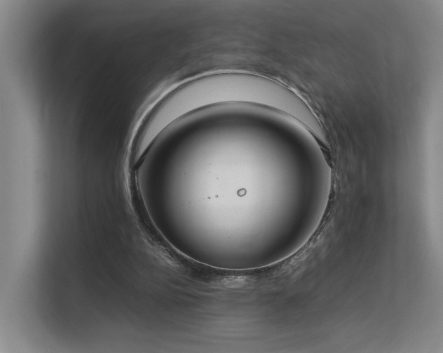 X0000113260152200909101506