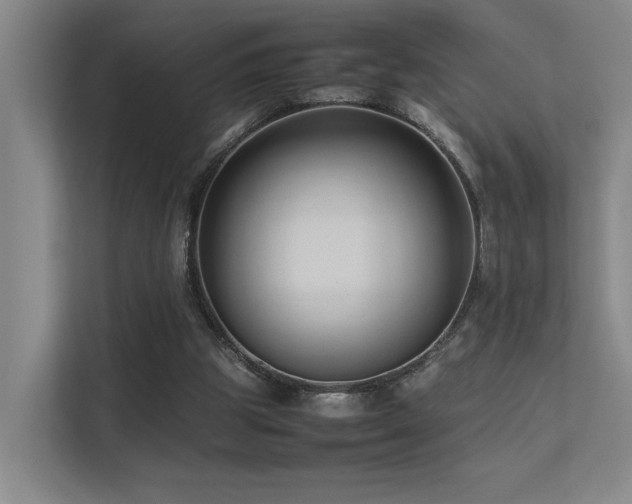 X0000113260153200909101506