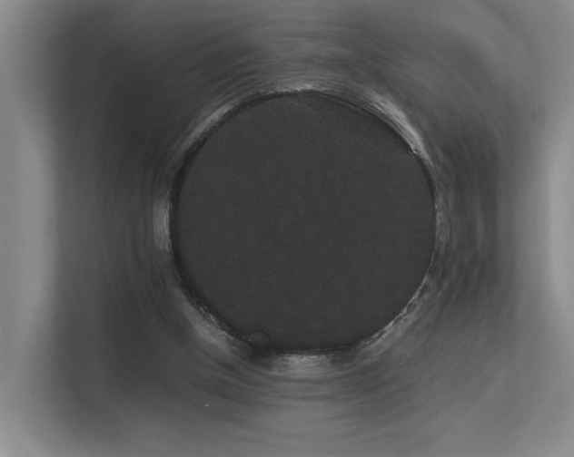 X0000113260154200909101506