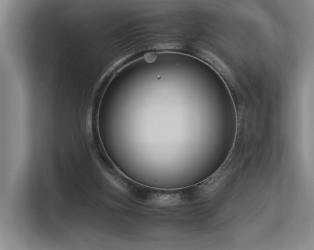 X0000113260155200909101506