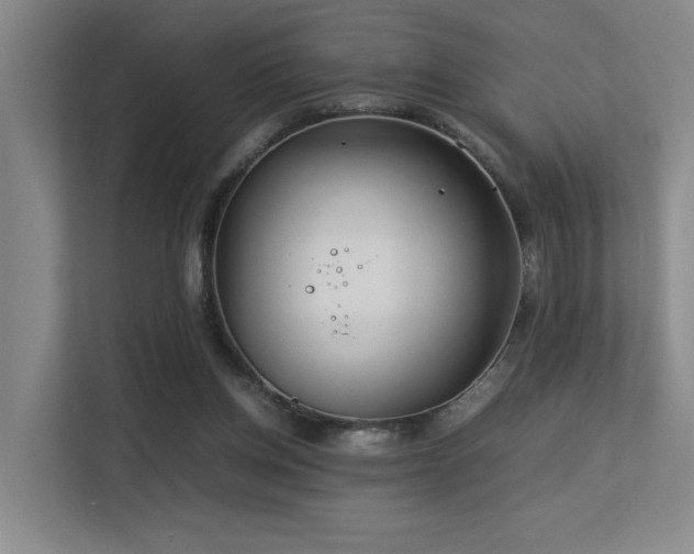 X0000113260158200909101506