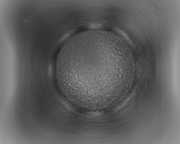 X0000113260161200909101506