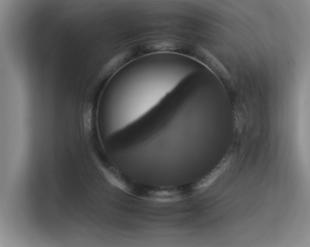 X0000113260163200909101506