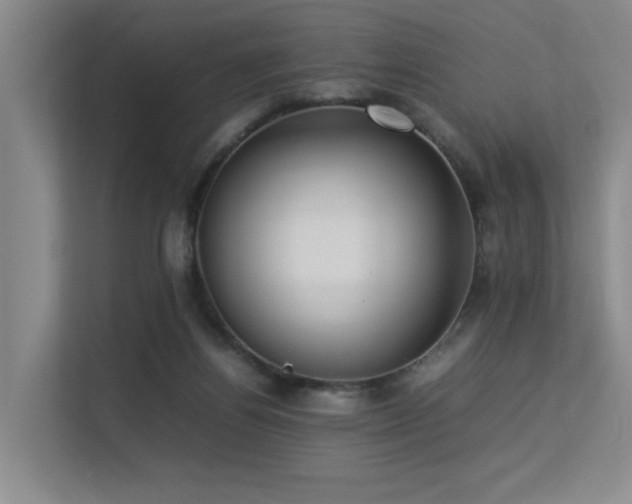 X0000113260164200909101506