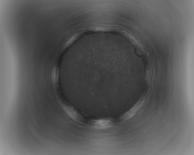 X0000113260168200909101506