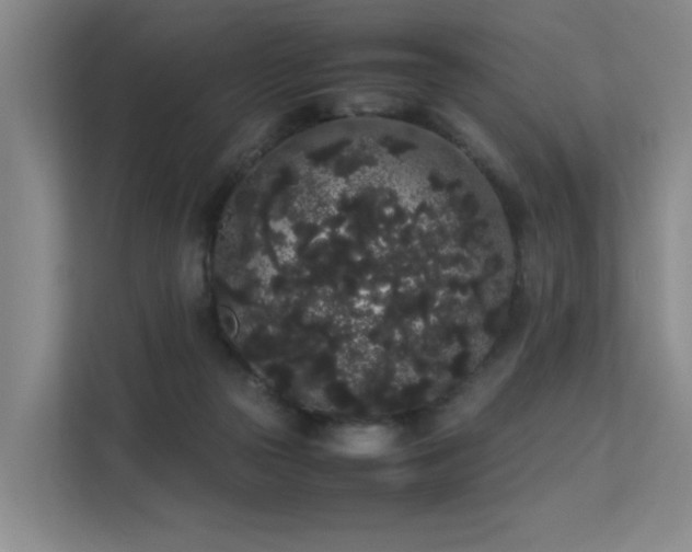 X0000113260169200909101506