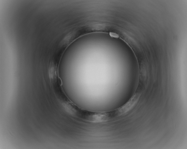 X0000113260172200909101506