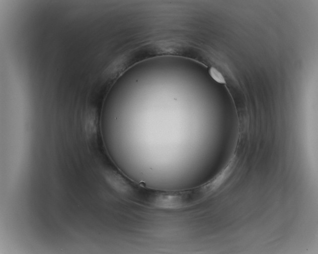 X0000113260174200909101506