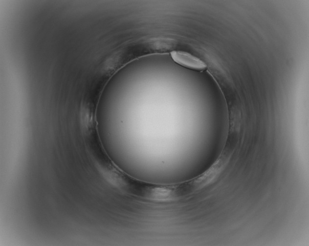 X0000113260176200909101506