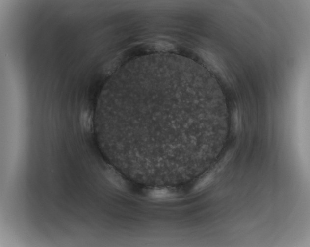 X0000113260177200909101506