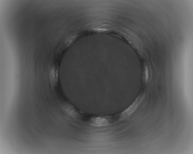 X0000113260180200909101506