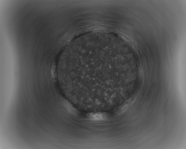 X0000113260181200909101506