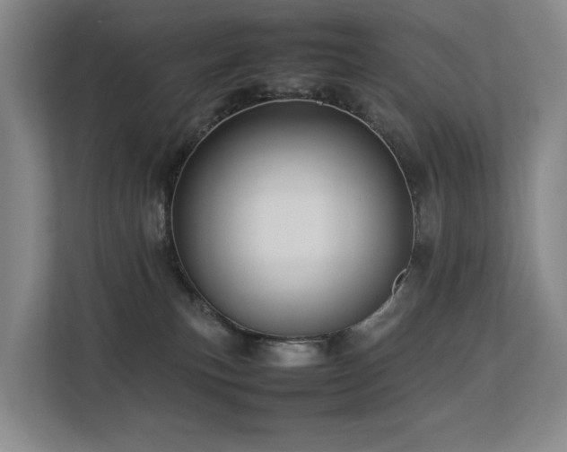 X0000113260183200909101506