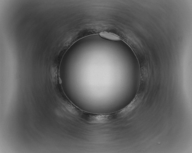 X0000113260184200909101506