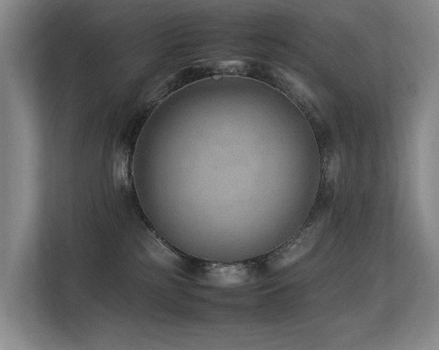 X0000113260185200909101506