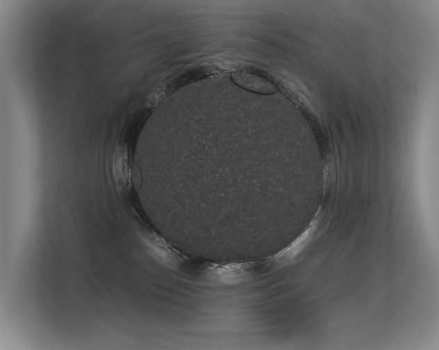 X0000113260186200909101506