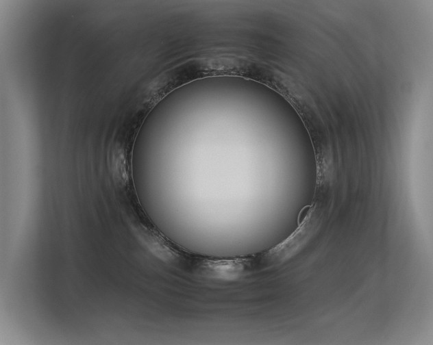 X0000113260187200909101506