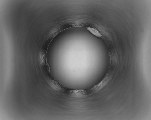 X0000113260188200909101506