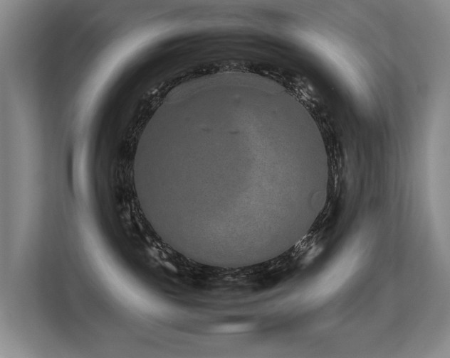 X0000113260189200909101506