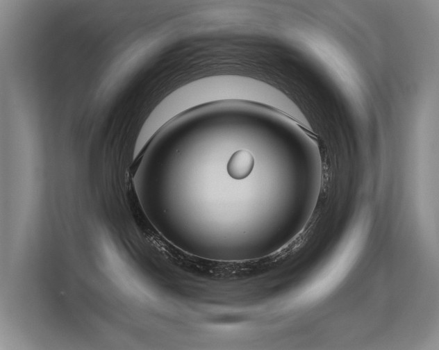 X0000113260190200909101506