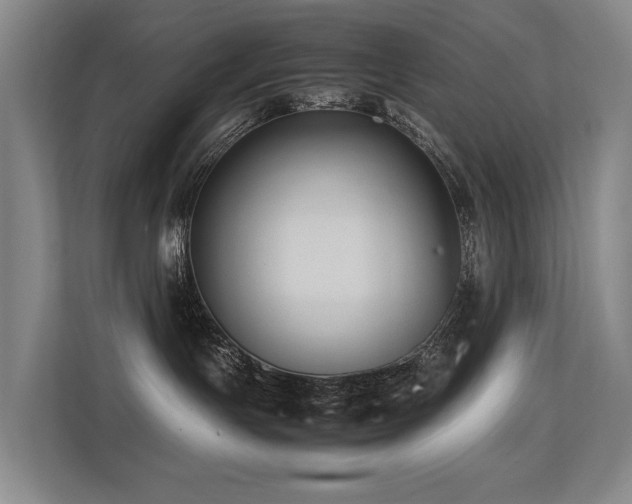 X0000113260191200909101506