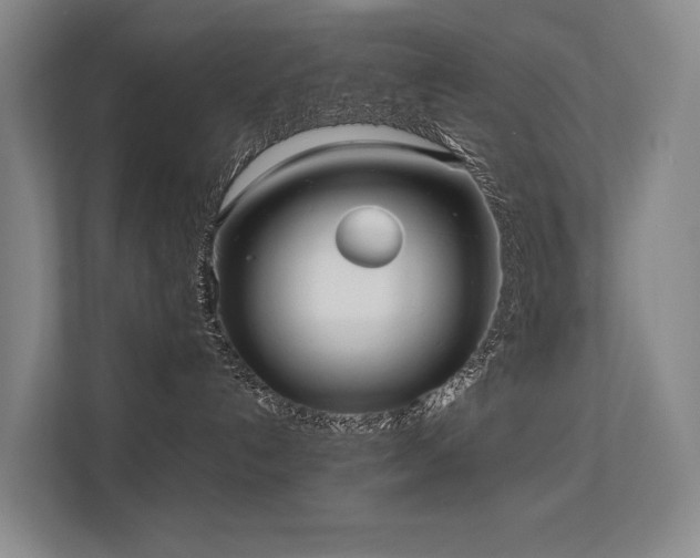 X0000113260192200909101506