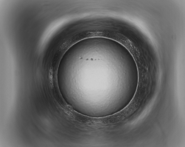 X0000113260194200909101506