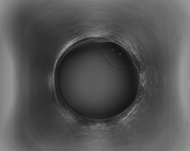 X0000113260196200909101506