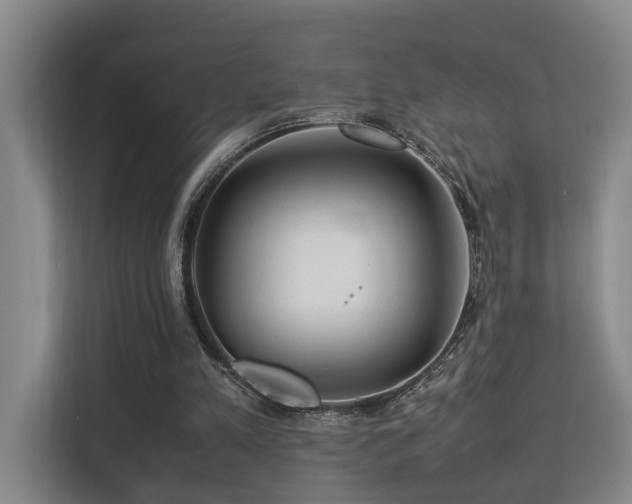 X0000113260197200909101506