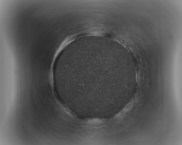 X0000113260198200909101506