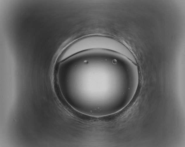 X0000113260199200909101506