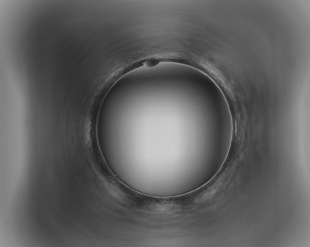 X0000113260201200909101506