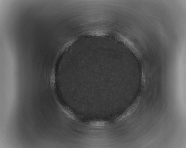 X0000113260202200909101506