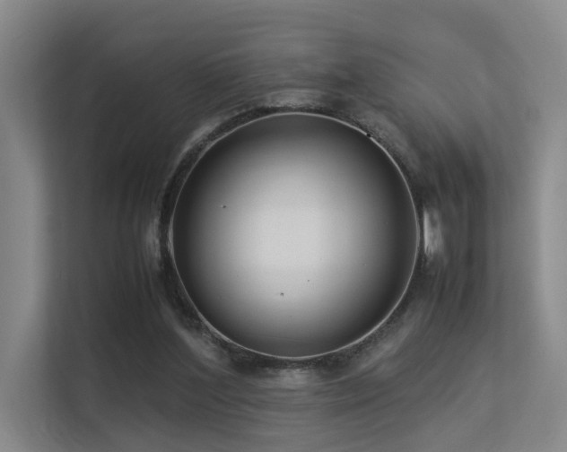 X0000113260204200909101506