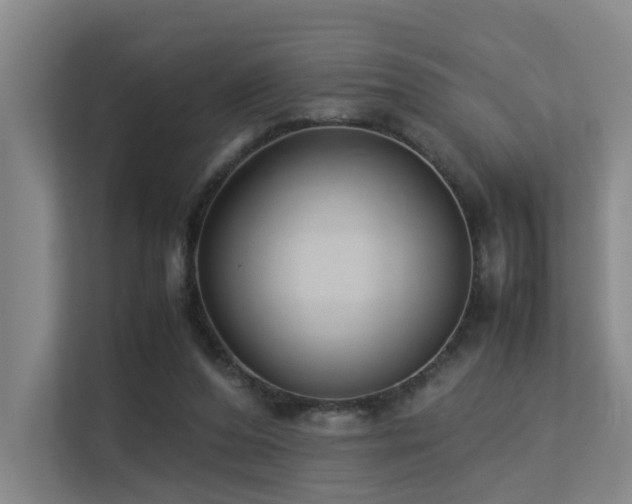 X0000113260208200909101505