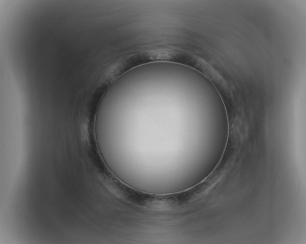 X0000113260209200909101505