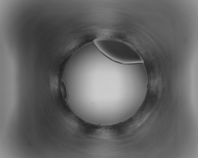 X0000113260211200909101505