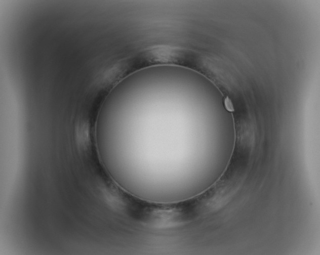 X0000113260213200909101505