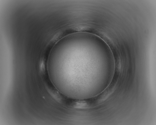 X0000113260214200909101505