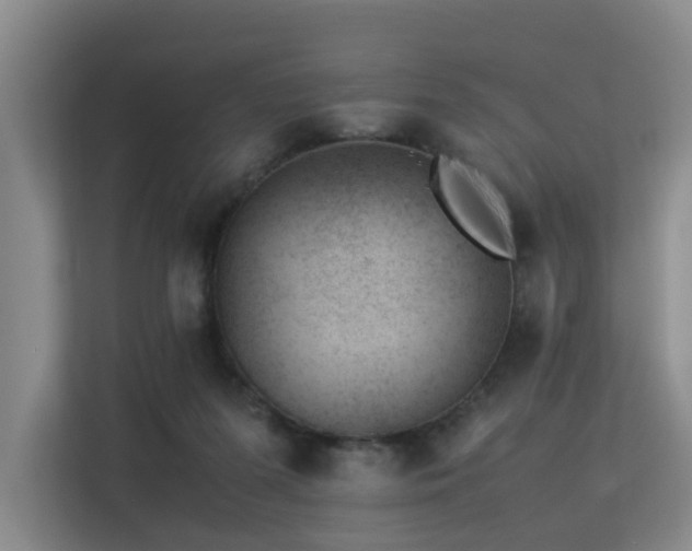 X0000113260215200909101505